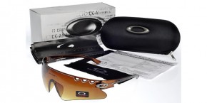 Oakley Sunglasses 231